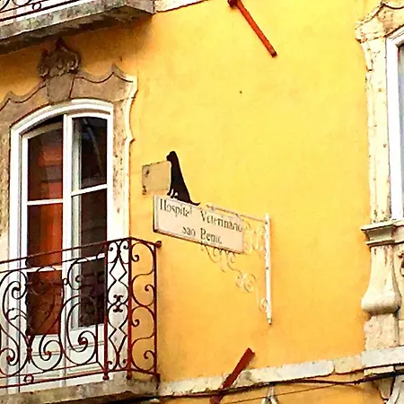 Tranquility In * Lisboa