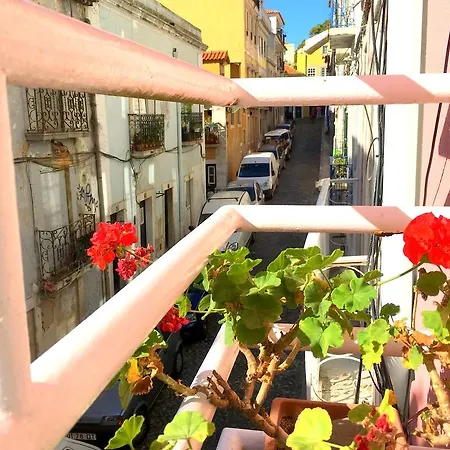 Tranquility In Apartman *